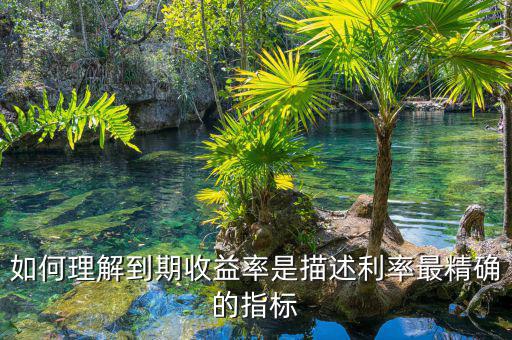 衡量利率最精確的指標通常是什么，什么是一個很好的債券利率風險衡量指標