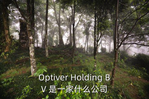 什么是nyme原油，Optiver Holding BV 是一家什么公司
