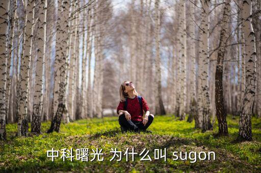 2014中科曙光什么時候上市的，股票為什么要選中科曙光