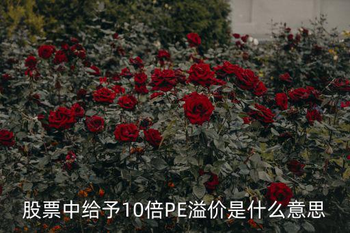 股票10倍市盈率什么意思，買10倍市盈率上下的大盤股什么意思