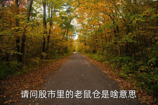 股市老鼠倉什么意思，股票 老鼠倉是什么意思