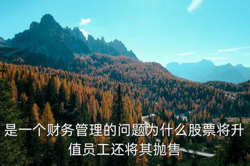 為什么要拋售股票，是一個財務(wù)管理的問題為什么股票將升值員工還將其拋售