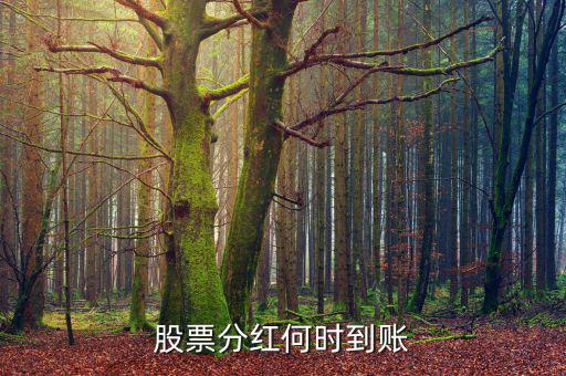 分紅什么時(shí)候到賬，分紅的金額什么時(shí)候會(huì)到賬戶
