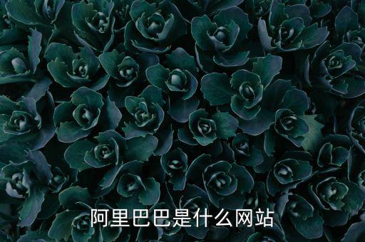 阿里巴巴是什么網(wǎng)站，阿里巴巴是什么網(wǎng)站