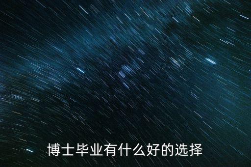 博士畢業(yè)有什么好的選擇