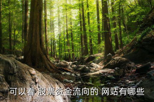 可以看 股票資金流向的 網站有哪些