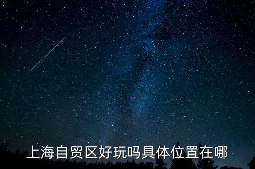 上海自貿(mào)區(qū)有什么好玩的，上海自貿(mào)區(qū)參觀有啥好玩的