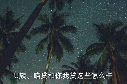 u族大學(xué)貸怎么樣,大學(xué)貸款平臺哪個(gè)可靠?