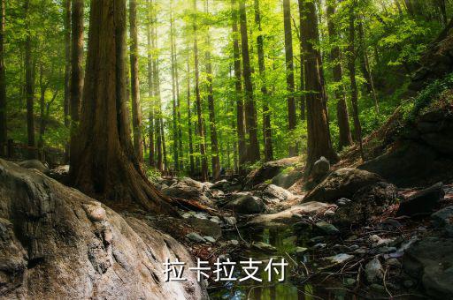 拉卡拉便利支付是什么，什么是銀聯(lián)拉卡啦支付