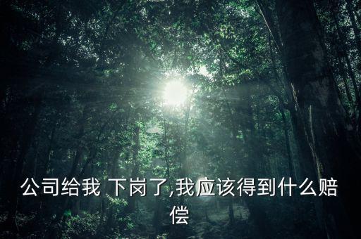 公司給我 下崗了,我應該得到什么賠償