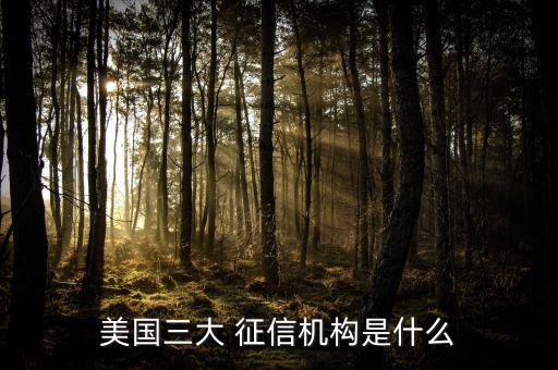 美國三大 征信機構(gòu)是什么