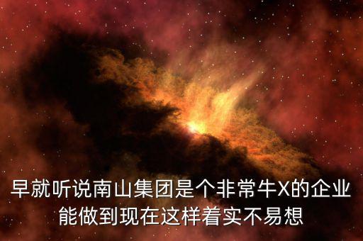 南山集團(tuán)對南山村的作用有什么，南山村的介紹
