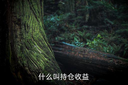 理財(cái)里的持倉收益是什么意思，基金 持倉收益7579 是什么意思啊 本人是新手