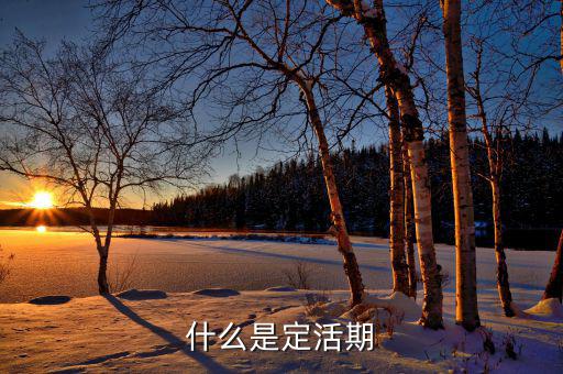 定期活期是什么意思，什么是定活期