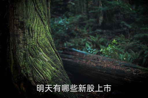 明天什么股票上市，明天有哪些新股上市