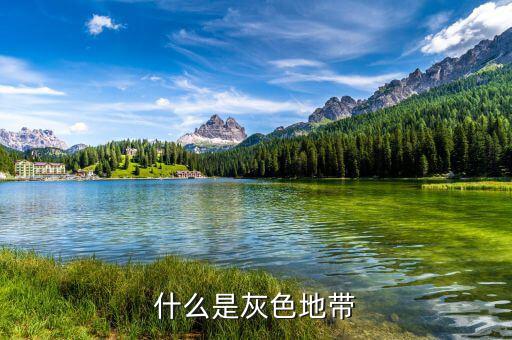 什么是項目灰色地帶，什么是灰色地帶