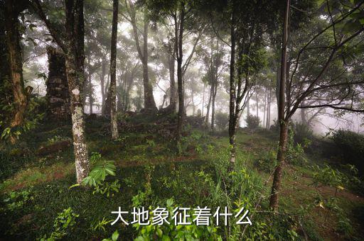 高地價象征什么，大地象征著什么