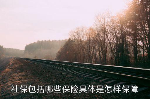 社保有什么保障，社保究竟保些什么
