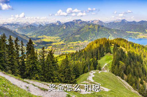 當月獎金怎么扣稅,年終獎與其他所得綜合計算應(yīng)繳稅款