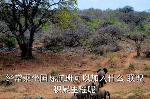 星空聯(lián)盟積分怎么算,南航、東航可通過明珠卡共享積分等