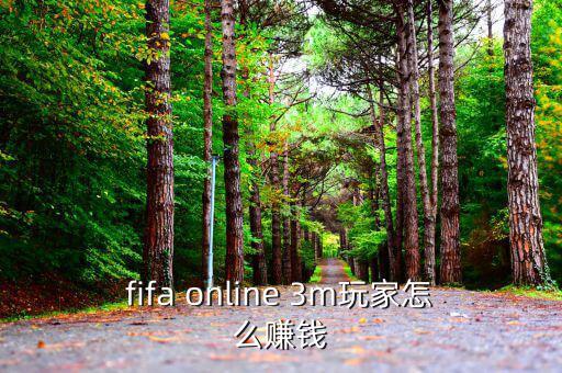 fifa online 3m玩家怎么賺錢(qián)