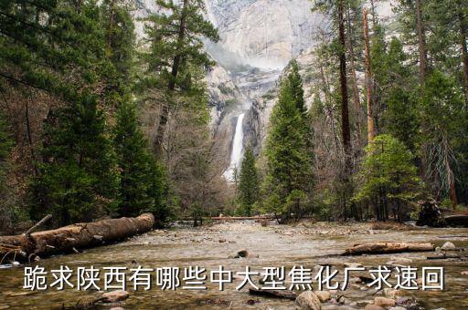 陜西有什么大的煉焦場，陜西省有大洗煤場嗎要待遇好的