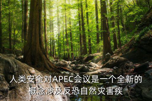 2014apec峰會簽署了什么文件，亞洲和太平洋地區(qū)經(jīng)濟(jì)合作會議簡稱 APEC