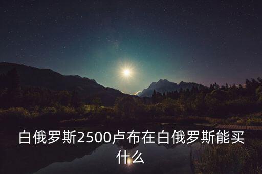 白俄羅斯盧布50可以買什么，白俄羅斯2500盧布在白俄羅斯能買什么