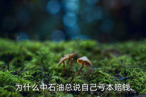 中石油為什么虧損，中石油為什么虧損慘重