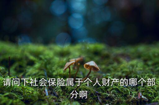 請問下社會保險(xiǎn)屬于個(gè)人財(cái)產(chǎn)的哪個(gè)部分啊