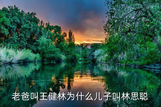 王健林和王思聰是什么關(guān)系，老爸叫王健林為什么兒子叫林思聰