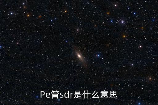 sdr是什么意思，sdr范丞丞wzr什么意思