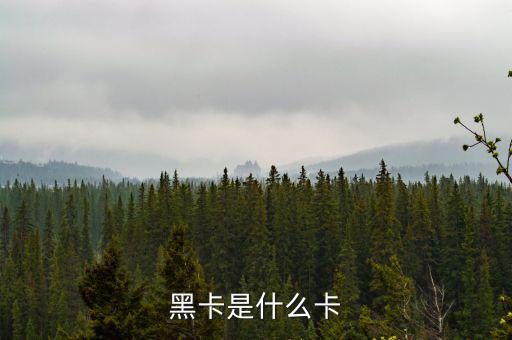銀行卡黑卡是什么級別，黑卡是什么卡