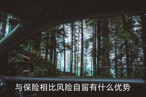 什么是風(fēng)險(xiǎn)自留，股票里有個(gè)自留的專業(yè)用語是什么意思