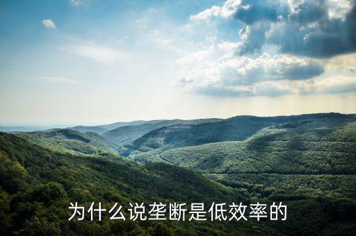 壟斷的無(wú)效率是什么，為什么說壟斷會(huì)導(dǎo)致低效率