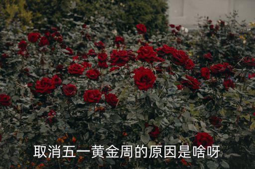 五一黃金周為什么取消，為什么取消五一黃金周