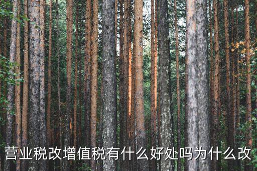 為什么營改增，營改增有什么意義和影響