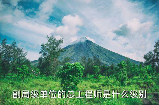 核安全總工程師是什么級(jí)別，總工程師是什么級(jí)別