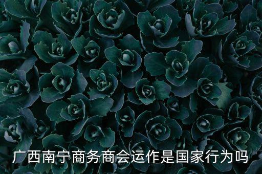 南寧什么時(shí)候打擊傳銷，廣西南寧有傳銷嗎