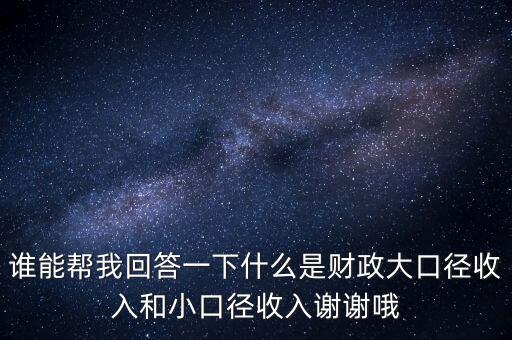 財(cái)務(wù)口徑是什么，誰(shuí)能幫我回答一下什么是財(cái)政大口徑收入和小口徑收入謝謝哦