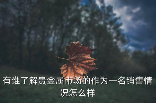 貴金屬公司為什么泛濫，有誰了解貴金屬市場的作為一名銷售情況怎么樣