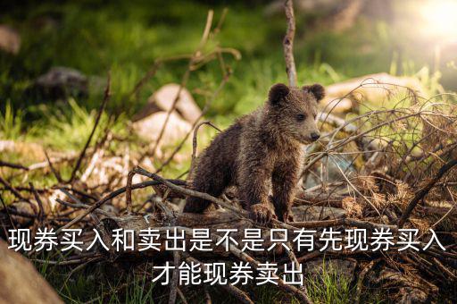 成交回報(bào)是什么，什么叫回報(bào)