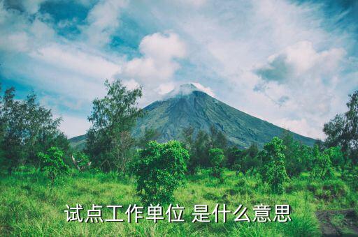軍區(qū)采購(gòu)試點(diǎn)是什么意思，試點(diǎn)是什么意思