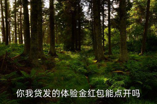 你我貸的體驗(yàn)金是什么意思，你我貸體驗(yàn)金怎么用
