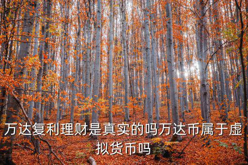 萬(wàn)達(dá)貨幣是什么，萬(wàn)達(dá)復(fù)利理財(cái)是真實(shí)的嗎萬(wàn)達(dá)幣屬于虛擬貨幣嗎