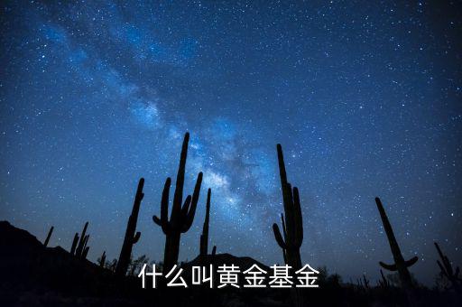 基金類型黃金型是什么意思，基金類型是黃金型所謂的黃金型是什么意思
