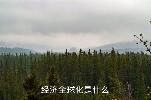 經濟全球化是什么