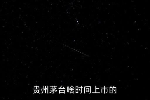貴州茅臺什么時候上市，貴州茅臺啥時間上市的