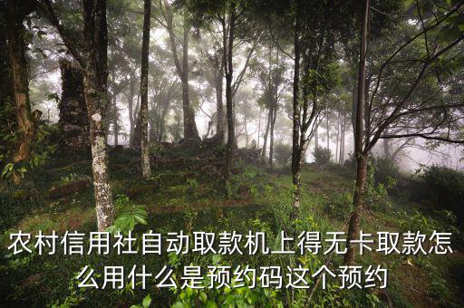 農(nóng)行預約碼是什么，農(nóng)商銀行預約取款預約碼是什么