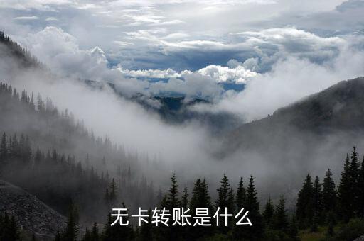 什么是無卡轉(zhuǎn)賬，什么叫無卡轉(zhuǎn)賬